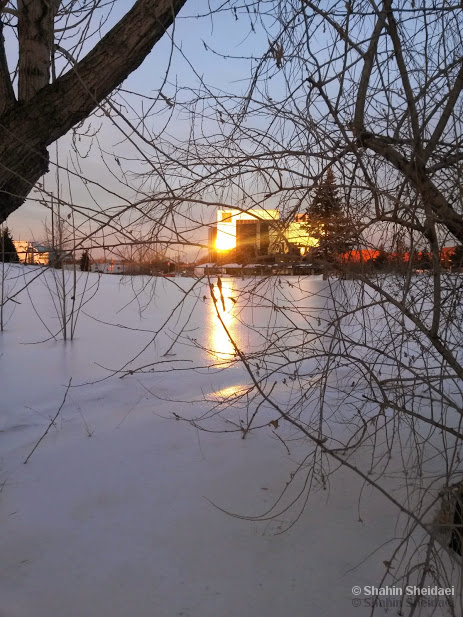 Ocean of Ice & Snow